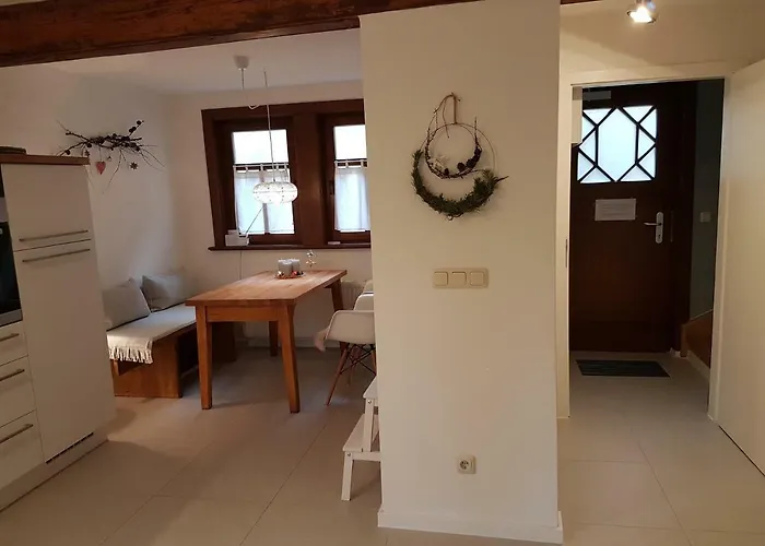 Haus zum wilden Manne